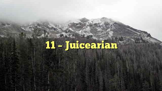 11 – Juicearian