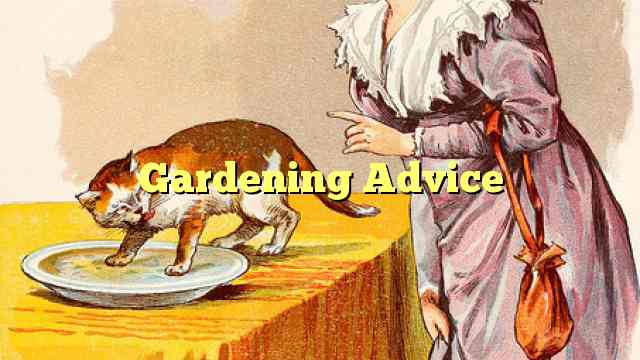 Gardening Advice
