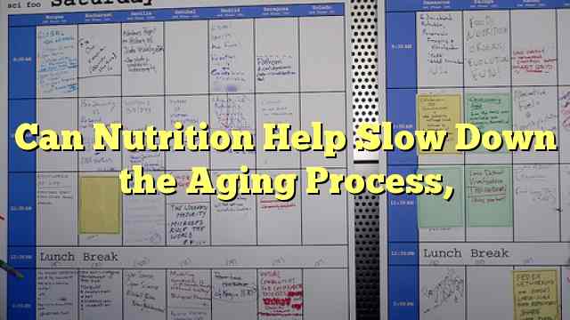 Can Nutrition Help Slow Down the Aging Process,