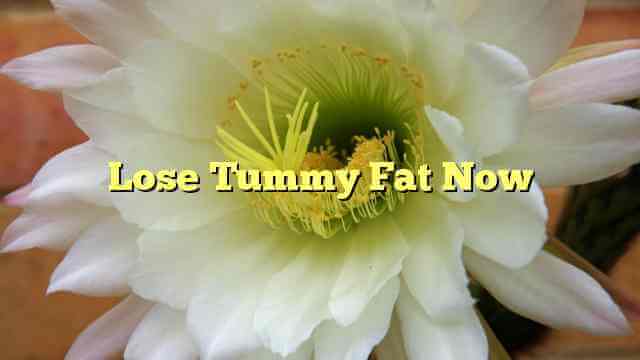 Lose Tummy Fat Now