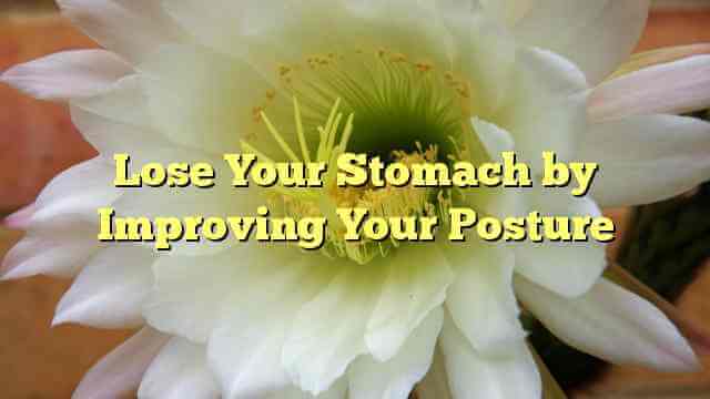Lose Your Stomach by Improving Your Posture
