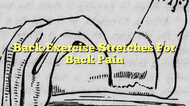 Back Exercise Stretches For Back Pain