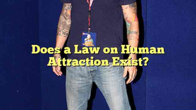 Does a Law on Human Attraction Exist?