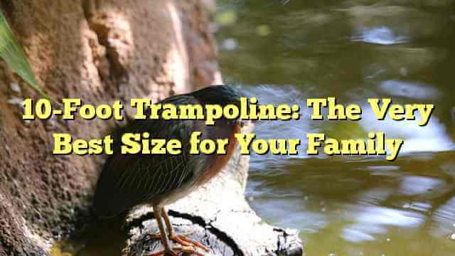 10-Foot Trampoline: The Very Best Size for Your Family