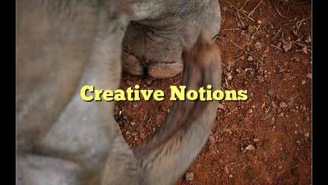 Creative Notions