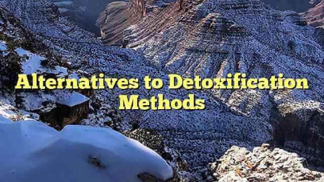 Alternatives to Detoxification Methods