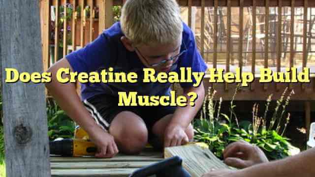 Does Creatine Really Help Build Muscle?