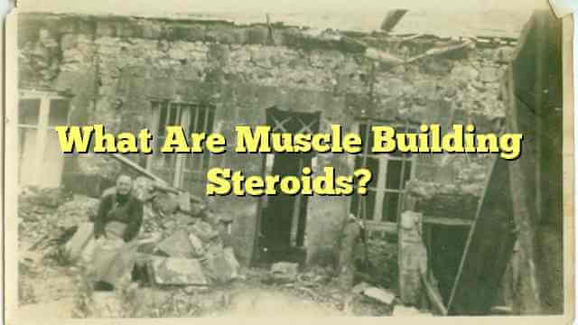 What Are Muscle Building Steroids?