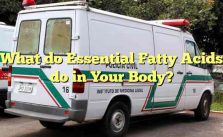 What do Essential Fatty Acids do in Your Body?