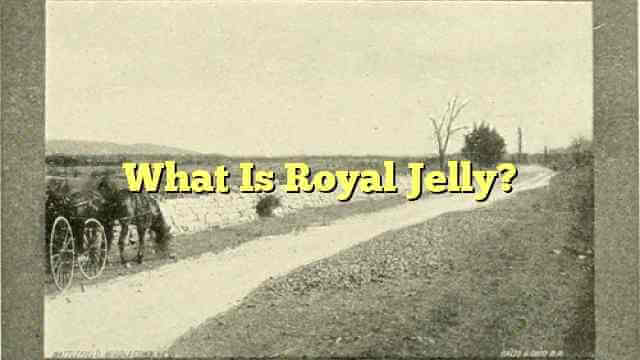 What Is Royal Jelly?